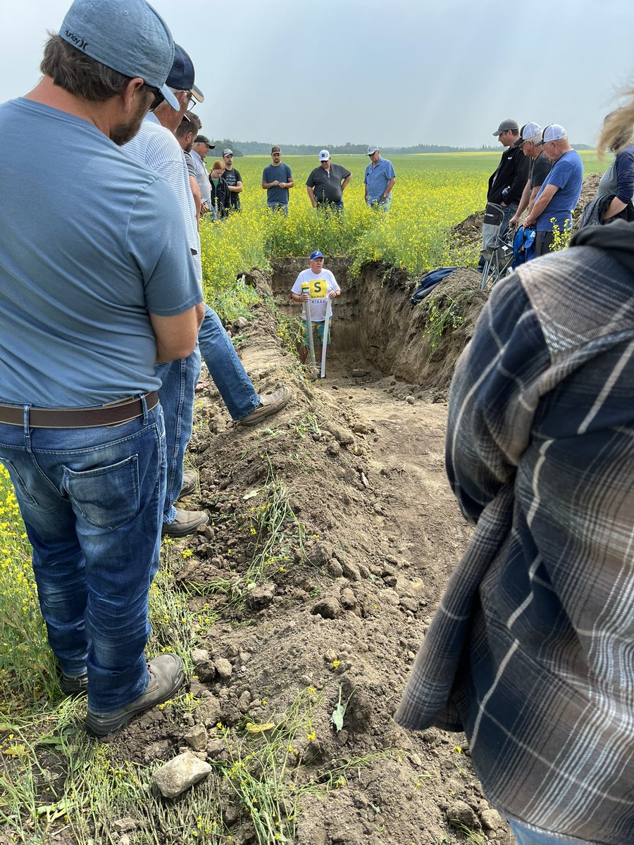 BSyroteuk_Shark's tweet photo. Can’t beat the knowledge with Elston in a root pit #cropintelligence #PersonsAgGrow https://t.co/6egLUtGCPp