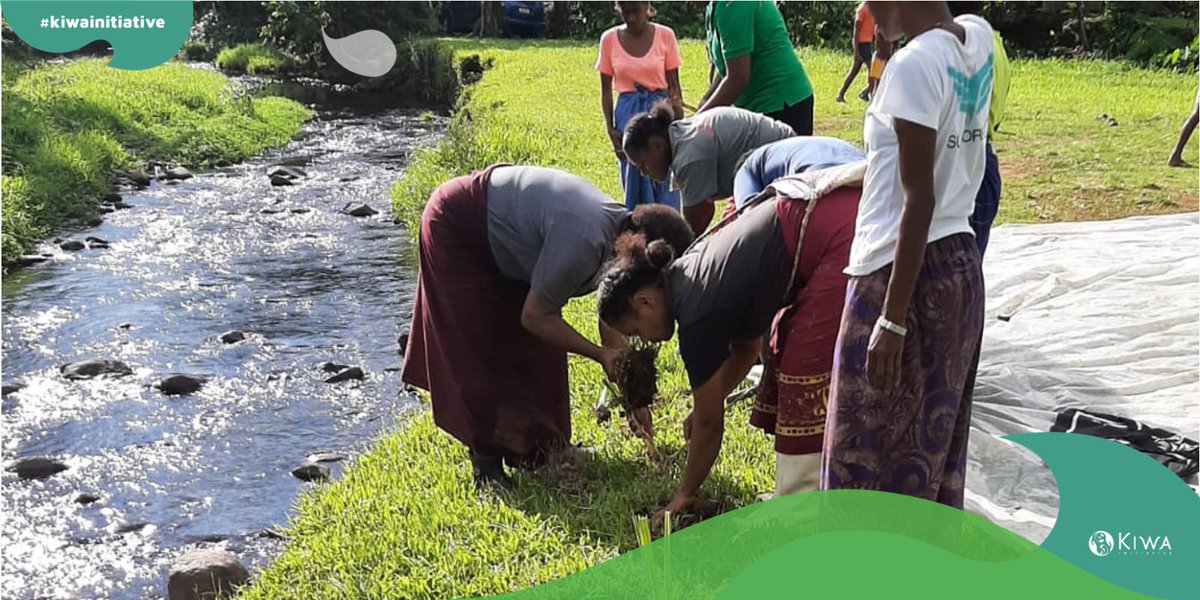 In #Fiji, <a href="/KiwaWISHPlus/">Kiwa WISH+</a> project funded by <a href="/InitiativeKiwa/">Kiwa Initiative</a> 🇪🇺🇫🇷🇨🇦🇦🇺🇳🇿 and held by <a href="/WCSFiji/">WCS Fiji</a> will focus on #NbS such as #reforestation to improve #resilience to #climate-sensitive diseases &amp; protect #biodiversity in upstream #watersheds + downstream #coralreefs.