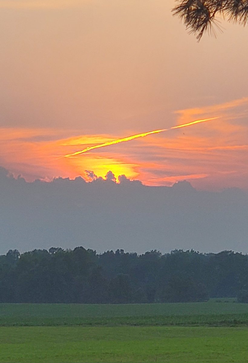 jsheese's tweet photo. Beautiful #sunset. @WTHITV Southwestern #indiana https://t.co/J3bMPBGdjS