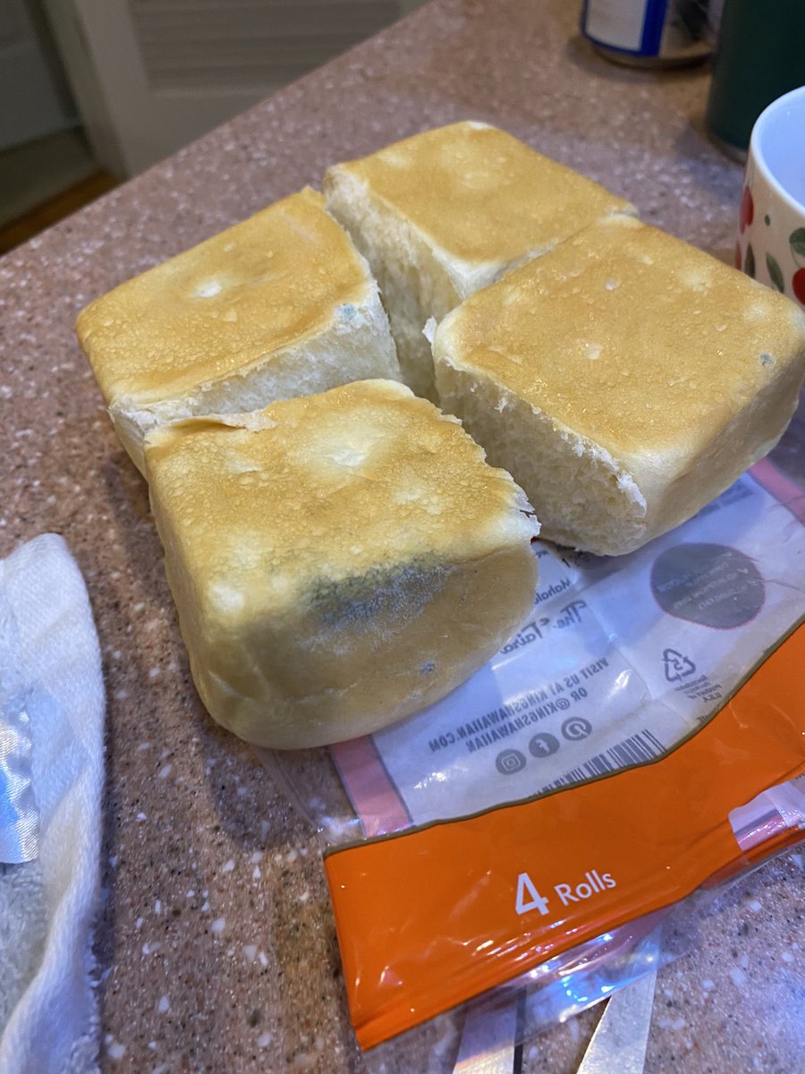 Plisken2112's tweet photo. Thanks @FoodLion and @KingsHawaiian for providing moldy bread, really helps my family save money! 2 packs of 4 purchased on 7/24, dated 7/26 by the store, opened 7/25 and both inedible. #moldybread #dobetter #wasteofmoney #capecharlesfoodlion
#freepenicillan https://t.co/jIBDwbM68O