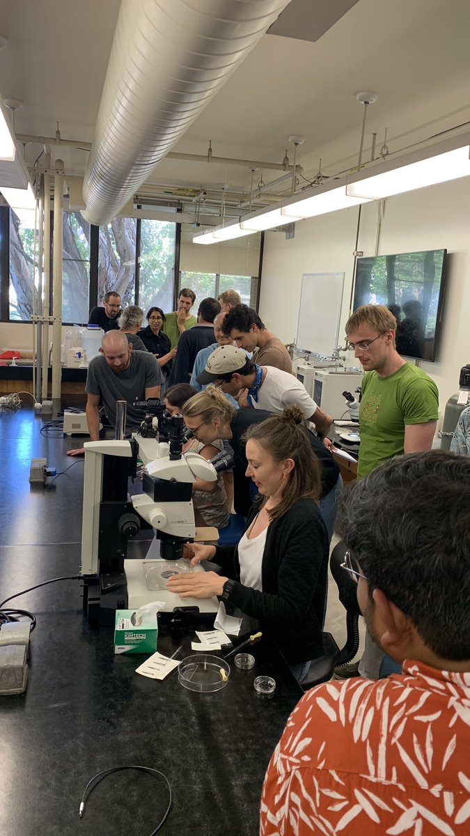maos_stemcell's tweet photo. Learning about Hydra regeneration at @KITP_UCSB at the #qbio23 #morpho23
π€ π₯Ό π§« π¬!!! https://t.co/V4SBpVHEsE