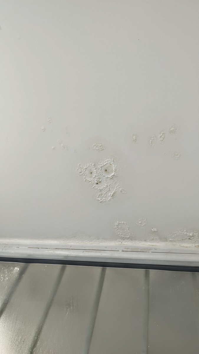 patodrums's tweet photo. Después de un 2023 de pura mala racha, creo que encontré la razon en la humedad del techo de mi lavadero. https://t.co/jpnNWpV9hL