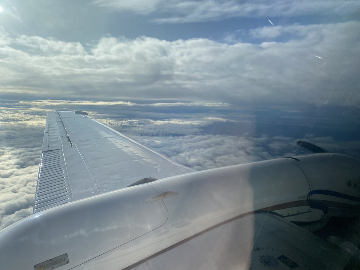 About to arrive in Albany where 97 pilot whales have tragically stranded at Cheynes Beach. It’s a heartbreaking event but every resource has been put into action to save as many as we can.