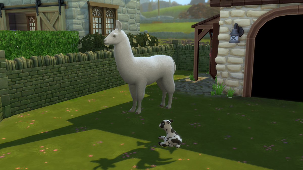 Alpha_Akira's tweet photo. Small floof meet big floof 

#sims #sims4 #HorseRanch #Sims4HorseRanch https://t.co/byK0VuVP73