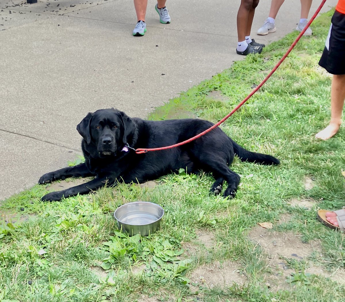 Mrs. Amy Hauer tweet media