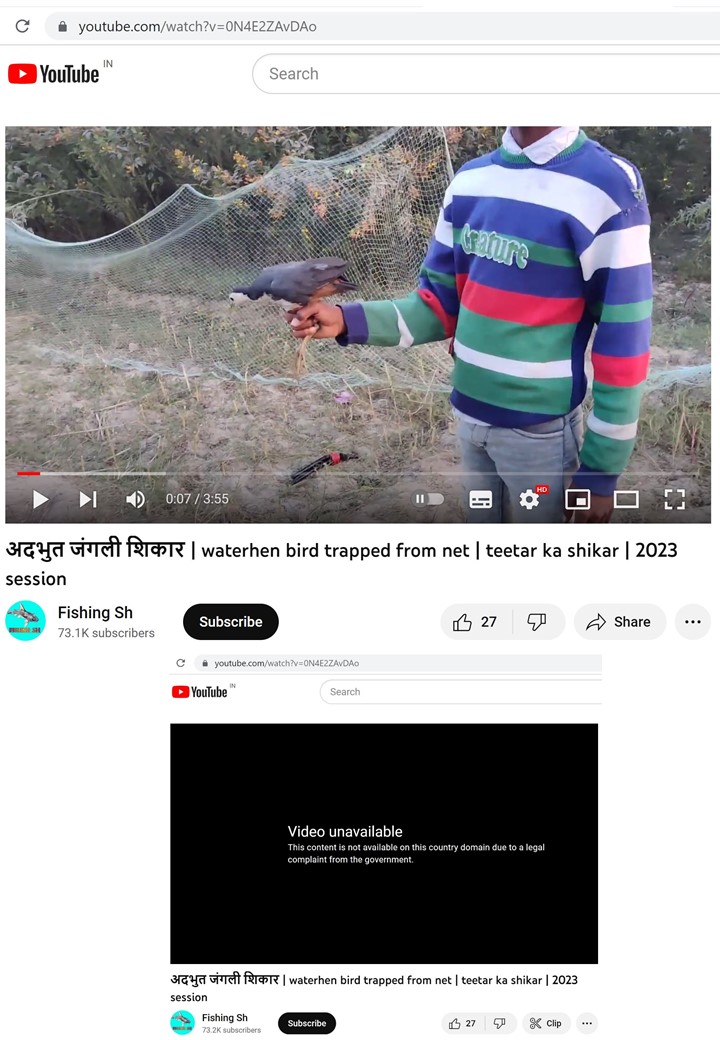 Pragatheesha's tweet photo. In an effort to safeguard wildlife (Preventive Measures), I have removed 166 links/videos related to the illegal hunting and cooking of various birds from YouTube #YouTube  #cybercrime  #Legal  #wildlifecrime #INTERPOL  #unodc #ICCWC  #Traffic  #USFWS #CITES #UNEP #WCMC https://t.co/4C4GzX84Rp