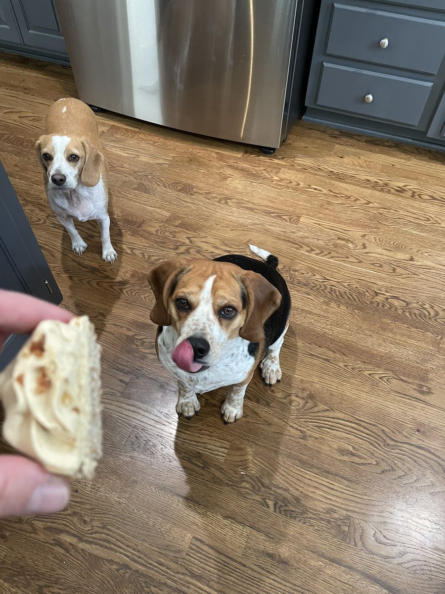 Corey Beagz tweet media