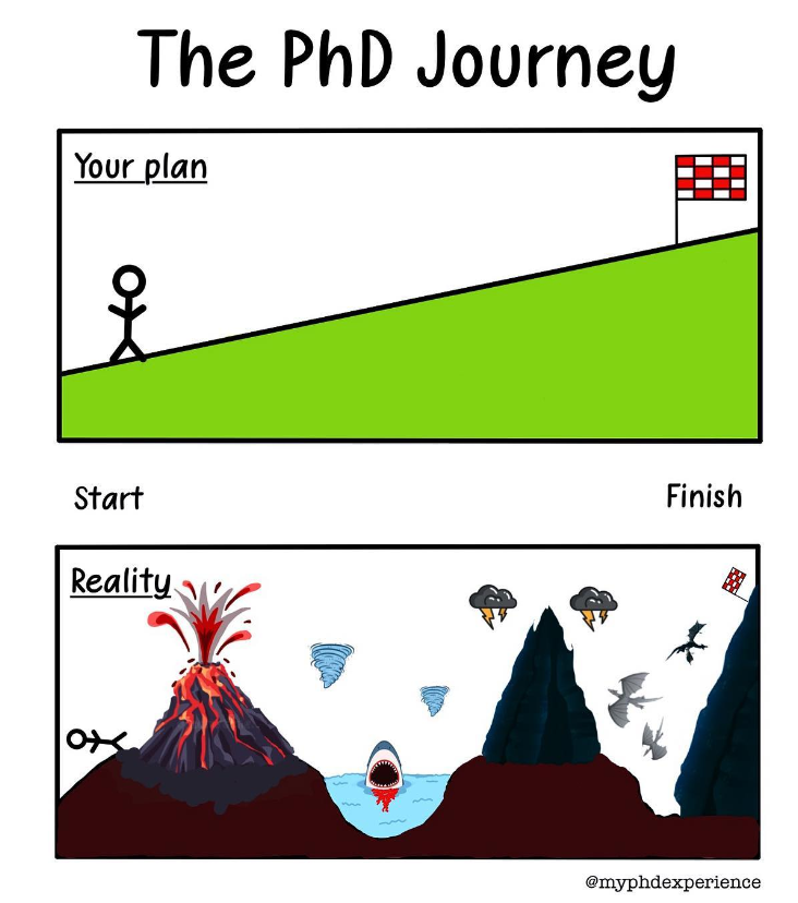 CassiFriday03's tweet photo. Start: '12.
Lab closes & moves: '14 volcano
Move too then quit after no progress: '15 shark
Makes 3 replicates of self (kids), rebuilds confidence, climbs 'the second mountain' (good book): '15-'19
Covid, quarantines, 1-year deployment: '20-22
PhD 10 years later.
#notlinear https://t.co/GKH8Si5zH3