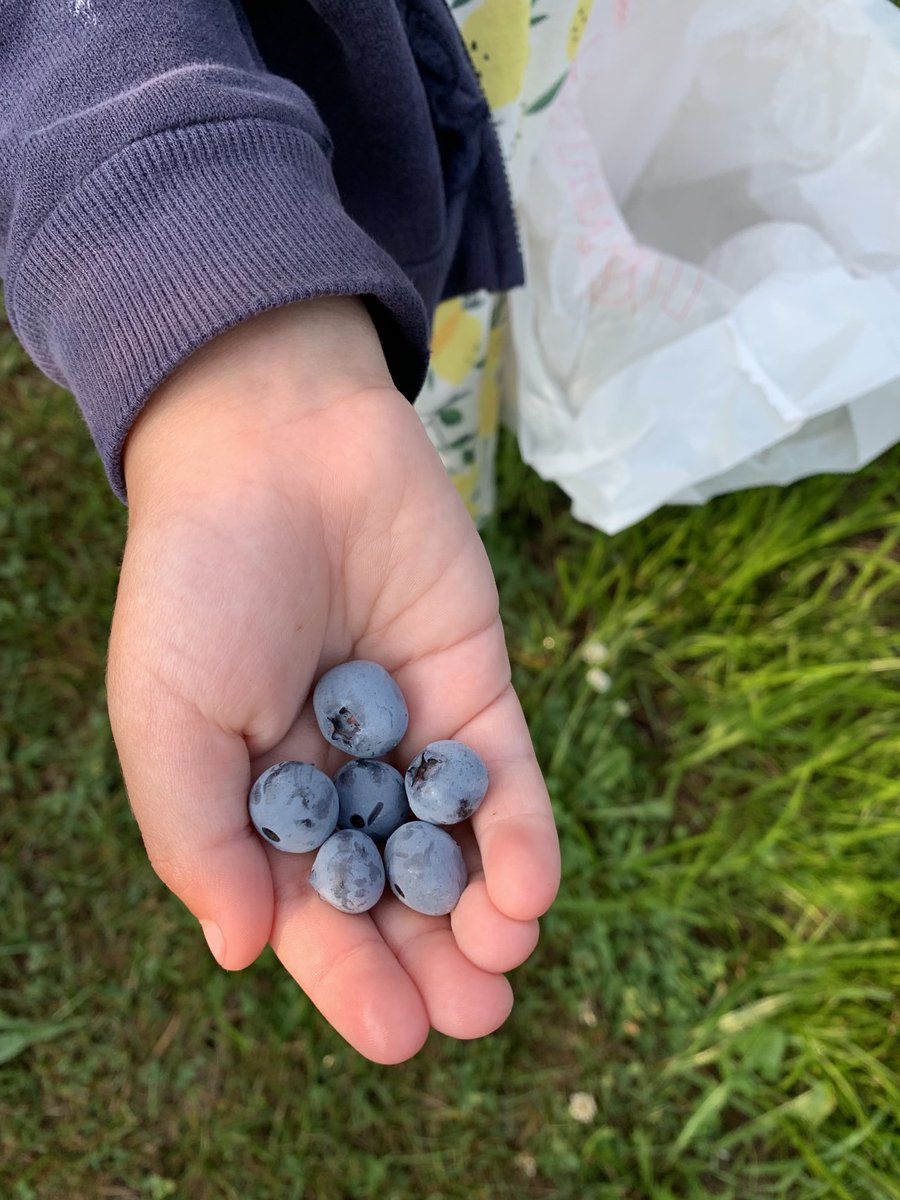 Kate Rietema tweet media