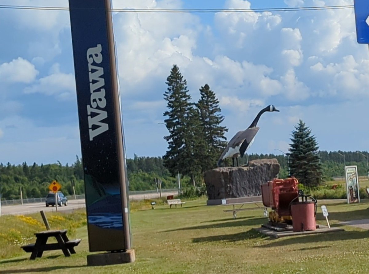 douce_pa's tweet image. Hey @Wawa...how weird is it that there's a town in ON, Canada,  just off the eastern shore of Lake Superior, called Wawa, AND they have a big goose greeting visitors on the main road thru town?!?  I took these when I passed thru last week.