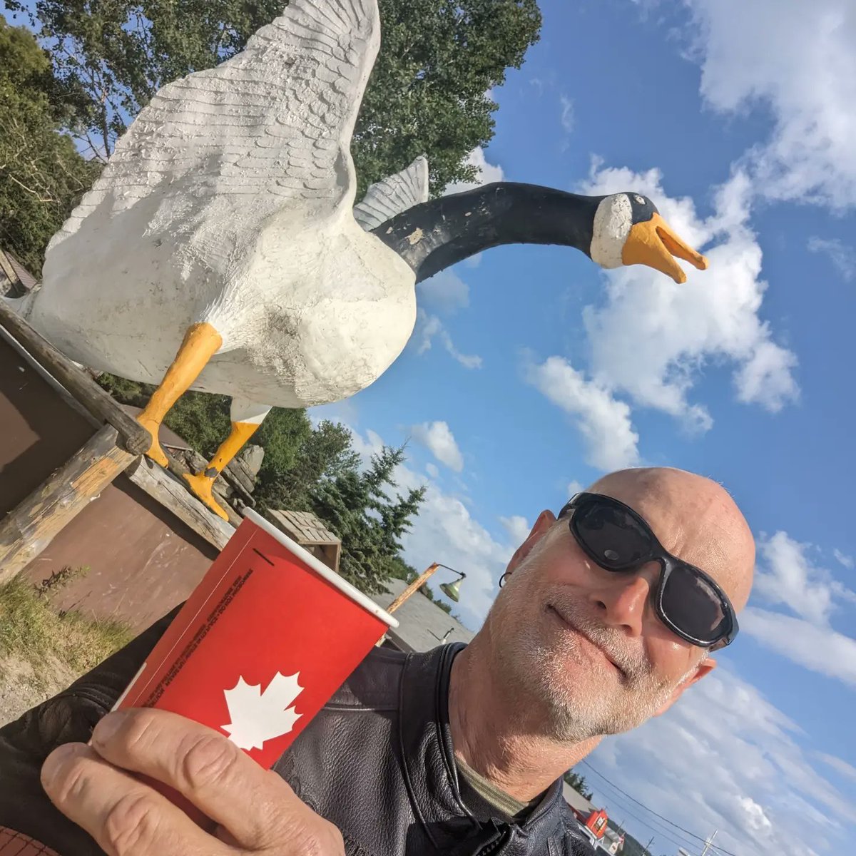 douce_pa's tweet image. Hey @Wawa...how weird is it that there's a town in ON, Canada,  just off the eastern shore of Lake Superior, called Wawa, AND they have a big goose greeting visitors on the main road thru town?!?  I took these when I passed thru last week.