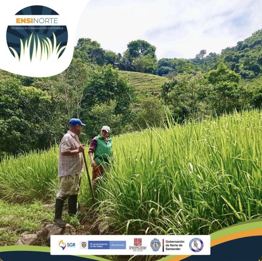 ensinorte's tweet photo. Visitas de seguimiento Inspección del lote
Beneficiario Jesús Miguel delgado 
Predio la Siberia 
Vereda el almendral🍃

#ensinortetecnologíaeinnovación #ensilaje #ganaderia #forrajes #agricultura #alimentación #ganado #sostenibilidad #alimentaciónanimal #productividadagropecuaria https://t.co/XfHnzw9ChQ