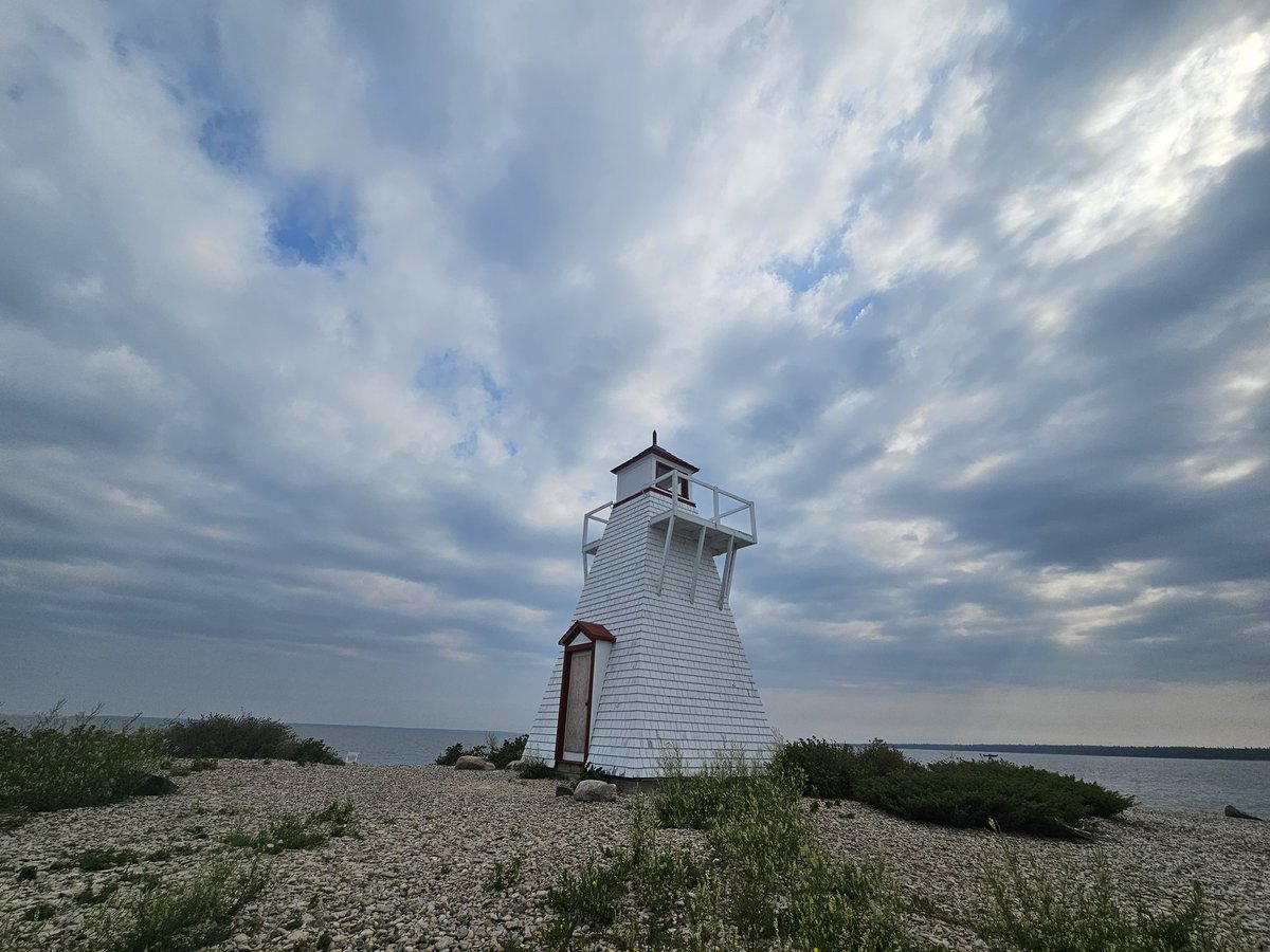 Little General tweet media