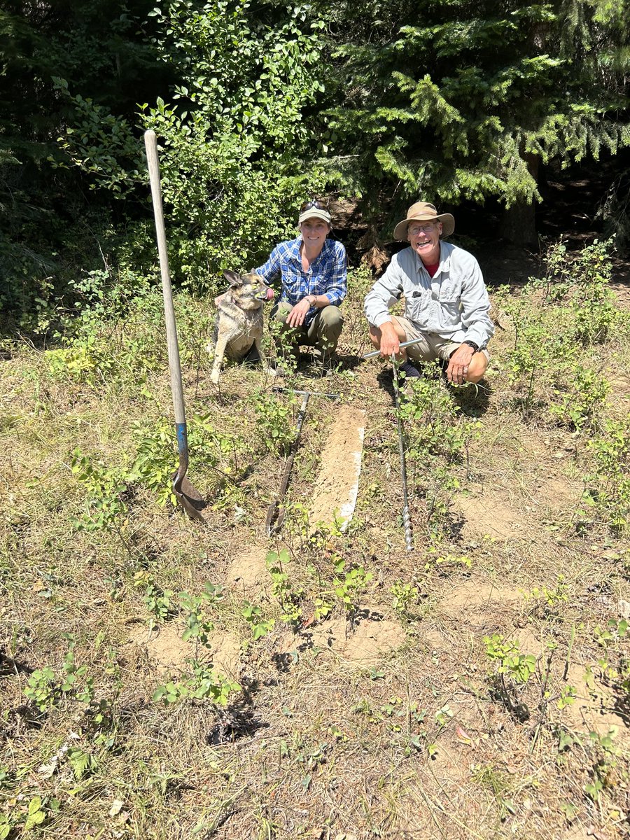 Guide Kendall Kahl (University of Idaho) and her hound Huckleberry tracked down the Threebear soil. It’s Idaho’s official state soil and 49th on my list. Only the Tanana soil of Alaska remains at-large.