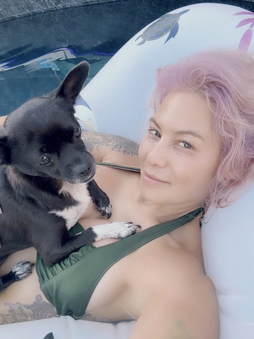 The perfect end to a hot summer day https://t.co/83P5Ihuq5N