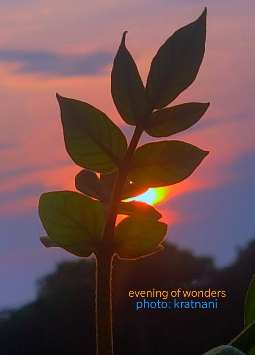 #evening of #wonders #leaflove #sunset #raysengineering