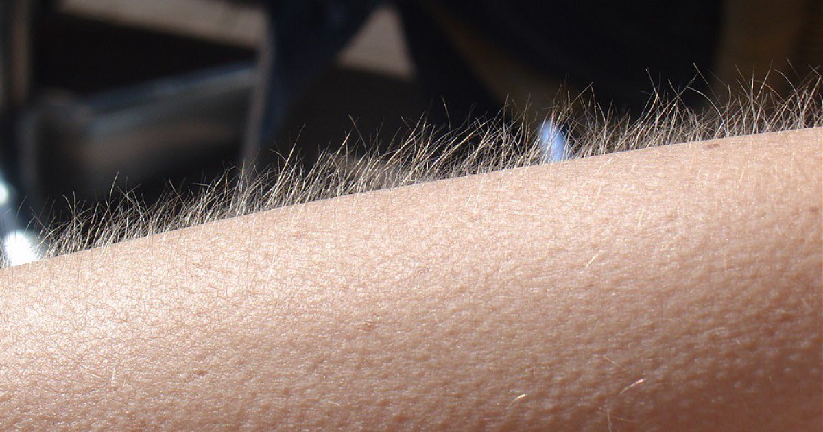 “i’m chuck bass”