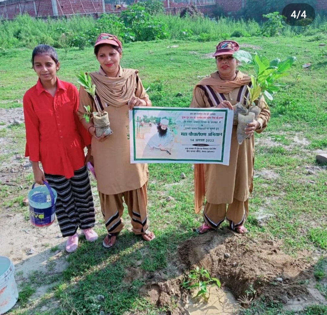 shushma20031262's tweet photo. Everybody loves the views with wonderful nature and they adore the beauty of nature. So instead of destroying it be a part of the Mega Tree Plantation Campaign and beautify nature like Dera Sacha Sauda volunteers and Saint MSG Ji.
#PlantASapling 
#RamRahim https://t.co/dRiahNpPEt