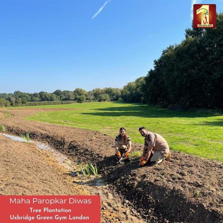 MarbleArtB5652's tweet photo. #PlantASapling 

Saint MSG https://t.co/ff1tXsBDHi