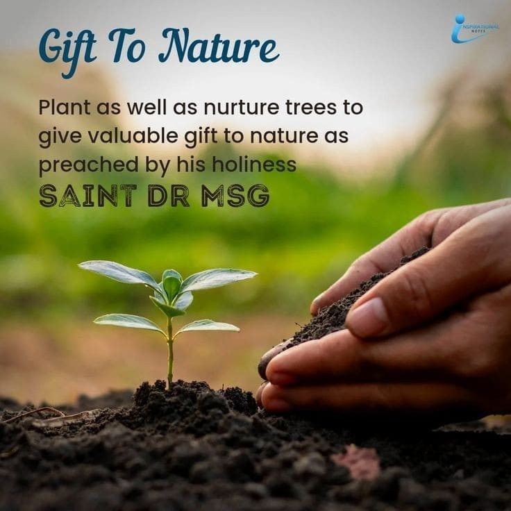 NurKelre77's tweet photo. To make our planet more secure  it's necessary to 
#PlantASapling . With the pious guidance of 
Saint MSG Dera Sacha Sauda volunteers plant trees on every occasion and in this way they save nature . https://t.co/OZD6ATkQ8n