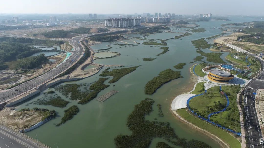 Happy #WorldMangroveDay!
The Jingu River Shoreline Comprehensive Ecological Improvement and Restoration Project, undertaken by #CFHEC, is dedicated to the protection and restoration of mangroves.  #EcologicalRestoration