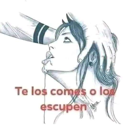 lechoso aguantador tweet media