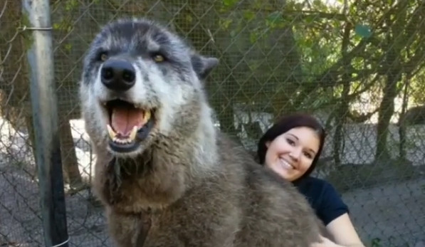 ThelostMelody_'s tweet image. Morning lovelys