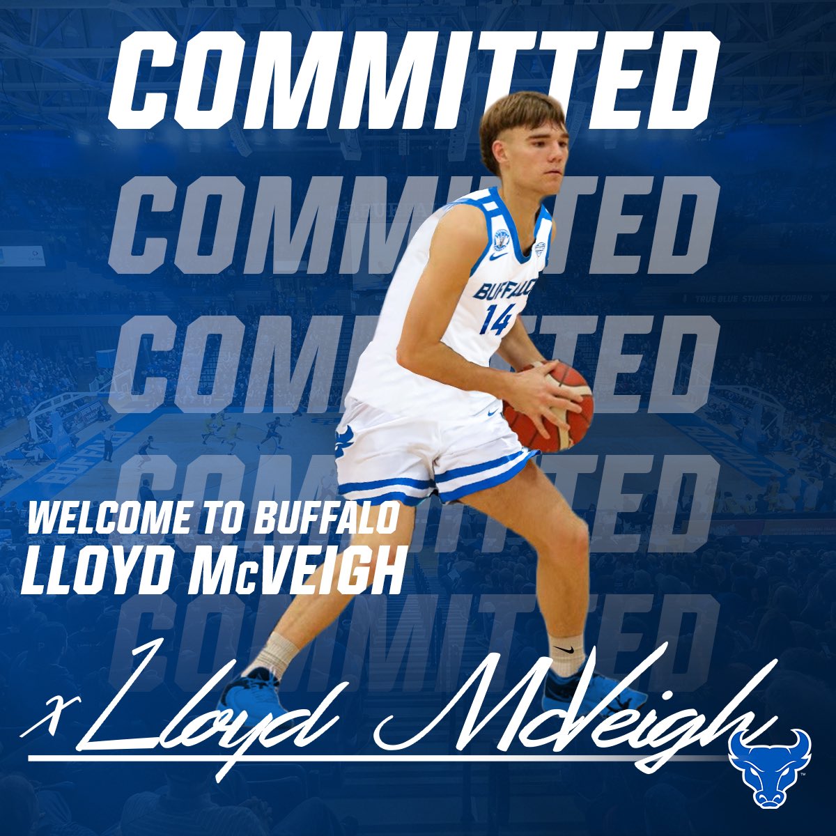 Buffalo Men's Basketball (@ubuffalombb) on Twitter photo ✍️🇦🇺➡️🦬🤘
Welcome to the <a href="/UBuffaloMBB/">Buffalo Men's Basketball</a> family <a href="/Lloyd_mcv/">Lloyd McVeigh</a> !!! 
#ALLinGRIT #UBhornsUP ✍️🇦🇺➡️🦬🤘
Welcome to the <a href="/UBuffaloMBB/">Buffalo Men's Basketball</a> family <a href="/Lloyd_mcv/">Lloyd McVeigh</a> !!! 
#ALLinGRIT #UBhornsUP