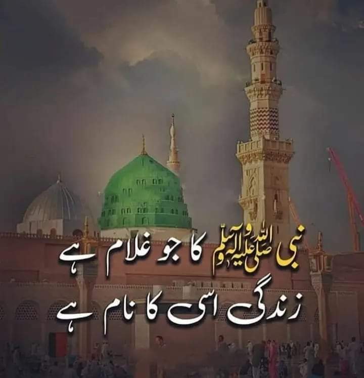 سنڌ ٽائمز tweet media
