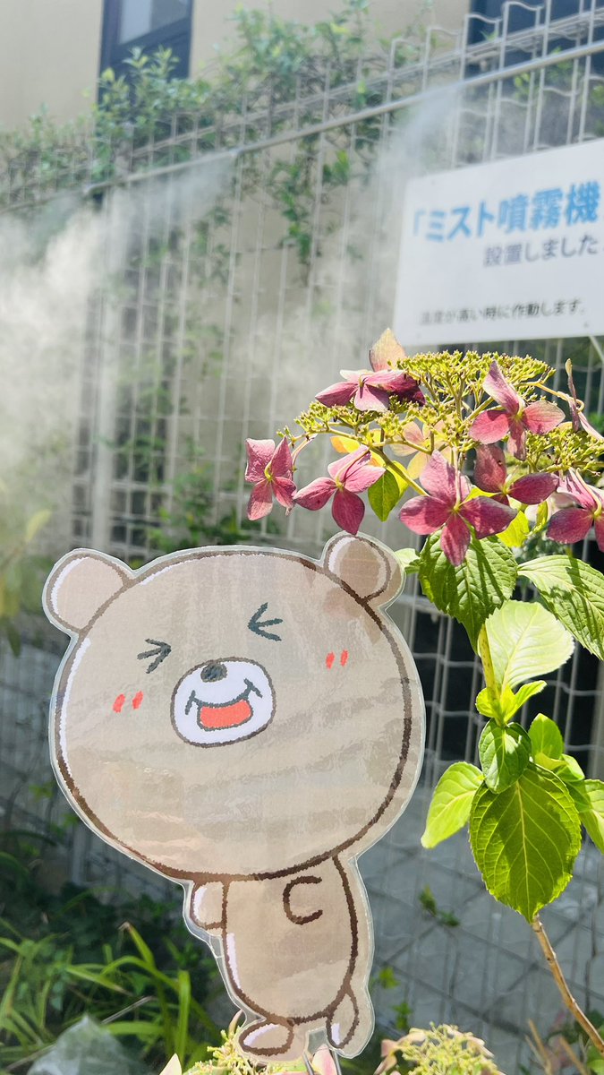 hakubuneikodo's tweet photo. こんにちは☀️
今日も溶けそうな暑さですね🫠💦

大誓堂前広場のミスト噴霧機で少し一休み🌿𓈒◌
暑さが軽減されます🫧

 #大誓堂  #信濃町  #博文栄光堂 #shinanomachi https://t.co/8e79wIH3xl