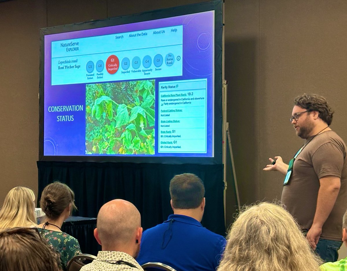 RPComito's tweet photo. If you missed my talk this morning on conservation genomics come see my other talk at 8:30 on the pantropical clade Barlerieae in 110D #Botany2023 https://t.co/So0SS5NuI9