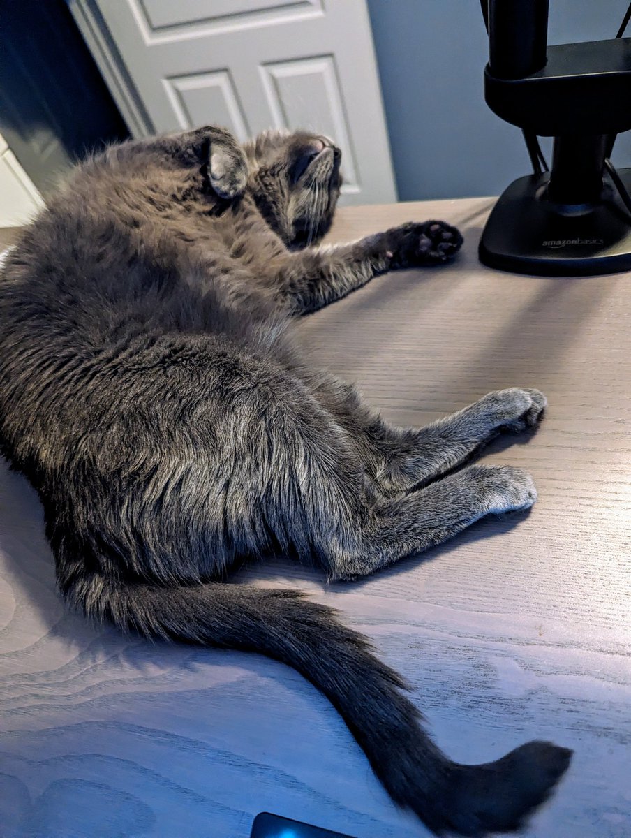 SylLovesBread's tweet photo. Lot of biiiiig stretches around here recently... https://t.co/y5eHxsht3E