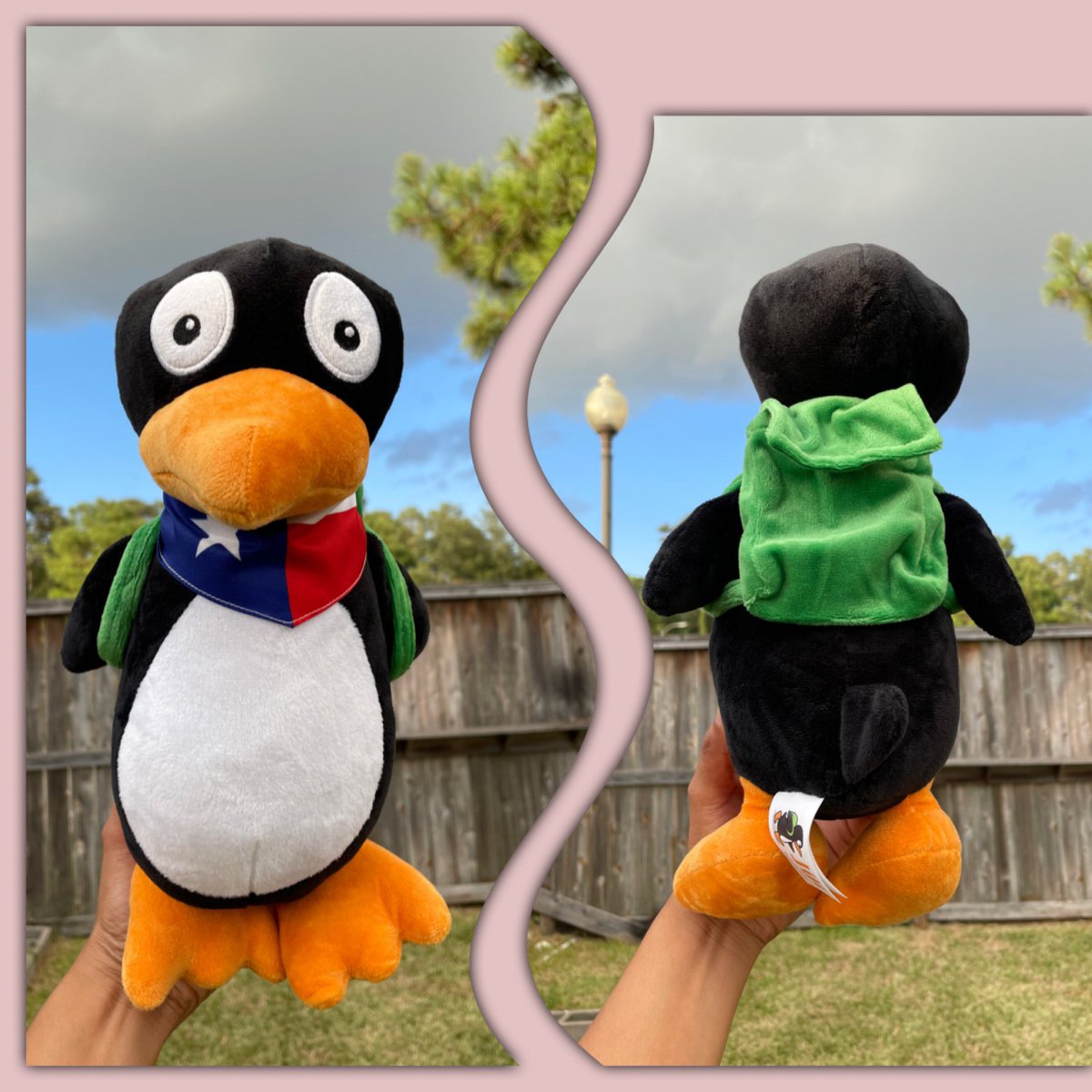 marisaochoa30's tweet photo. Came home to Texas Jiji waiting for me β€οΈπ€π Thank you @STMathTX canβt wait for Jiji to help me explore how much FUN math can be with my kindergarten students #STMathTX #AccelerateLearningTX https://t.co/hzkwtI1ICE
