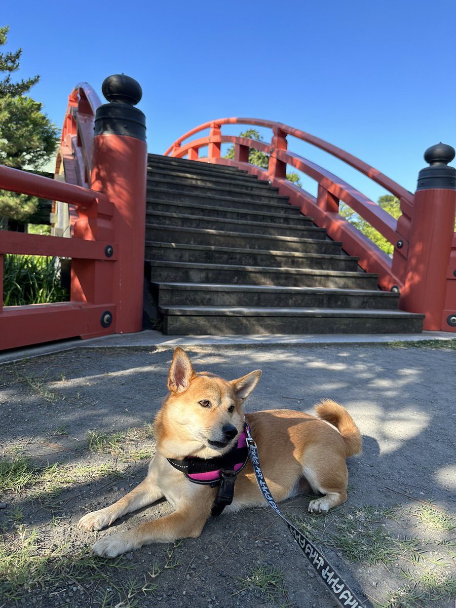 本日と明日はお休みとなっております。
金曜日より通常営業です。

どうぞよろしくお願いいたします🙇‍♀️