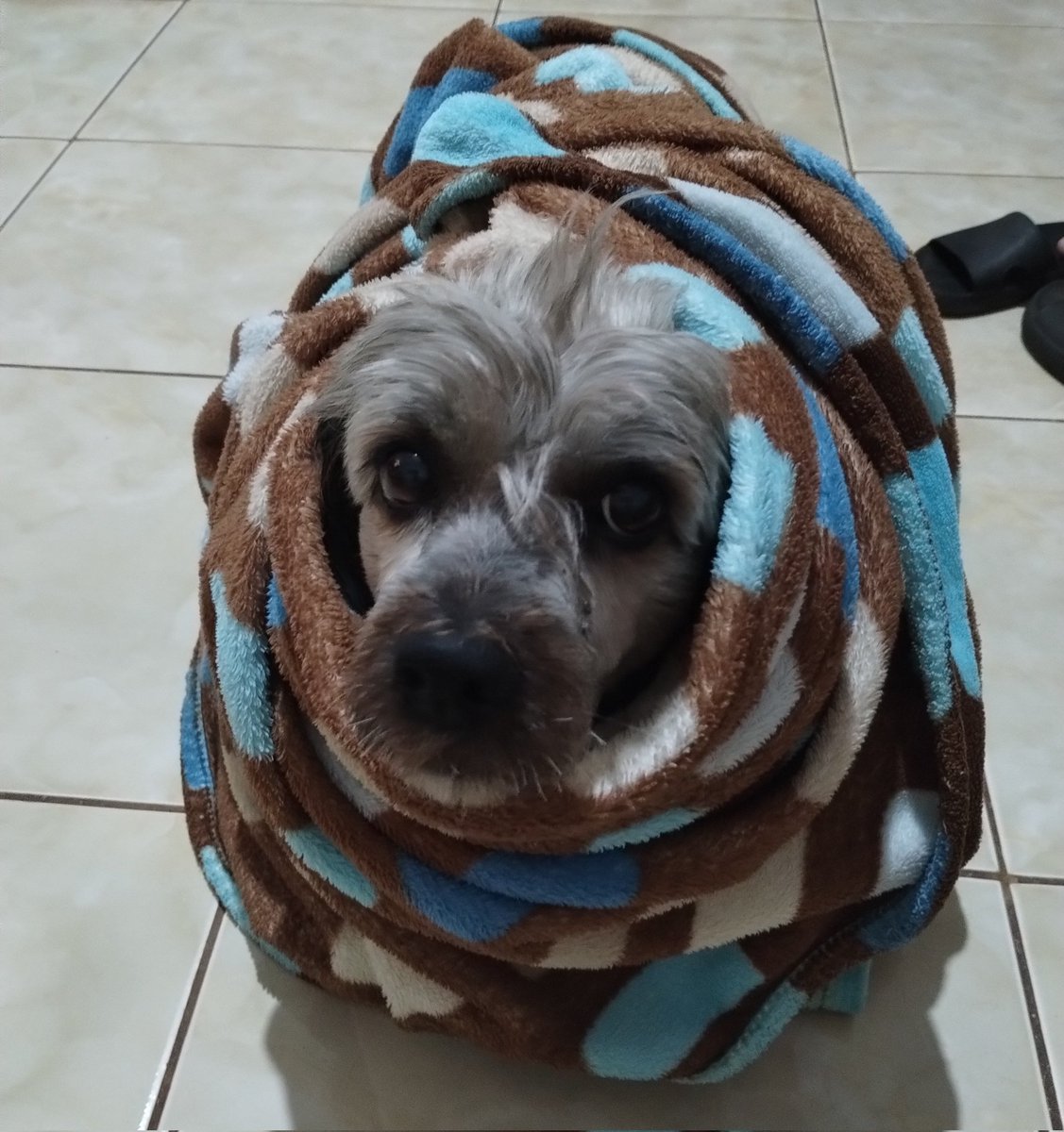 lostmygrude's tweet photo. amor da minha vida https://t.co/vw3pnzrcAM
