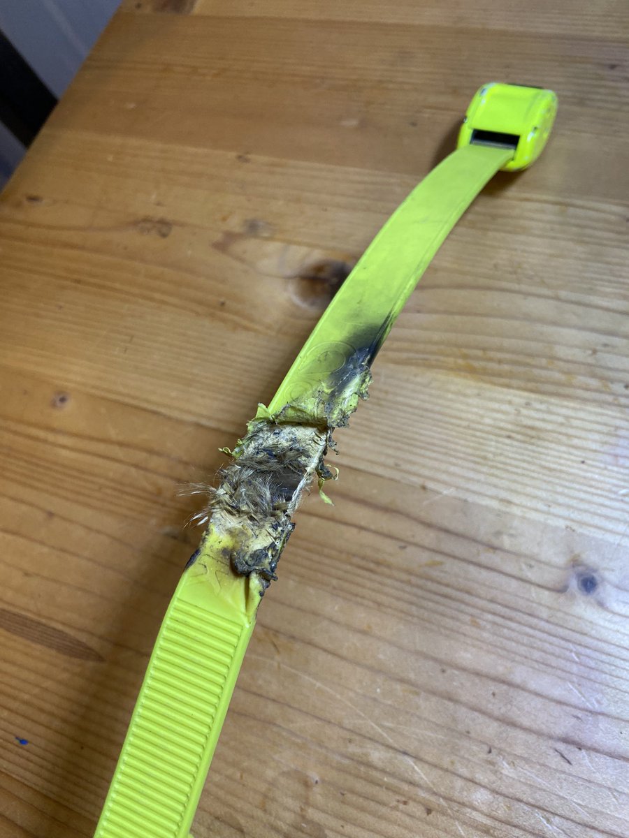 Andrea Bundon tweet media