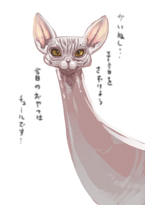 2023-07-26
猫のスフィンクス。
超高次元の存在であることを匂わせながら、ソレ以外がやっぱり猫、って感じがする。 