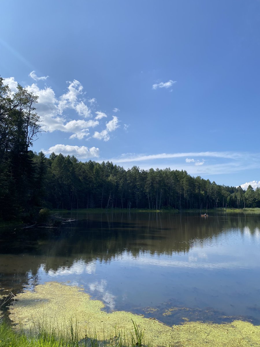LimnoEllie's tweet photo. Publicly recognizing @KevinAEngland for volunteering is whole entire weekend (two grueling 12 hour days!!) to do field work! My research (&amp; physical health) would quite literally fall apart without his help! #AuthorshipSecured #HeShouldDitchMicrobiologyForEcology https://t.co/AROMKxi0Td