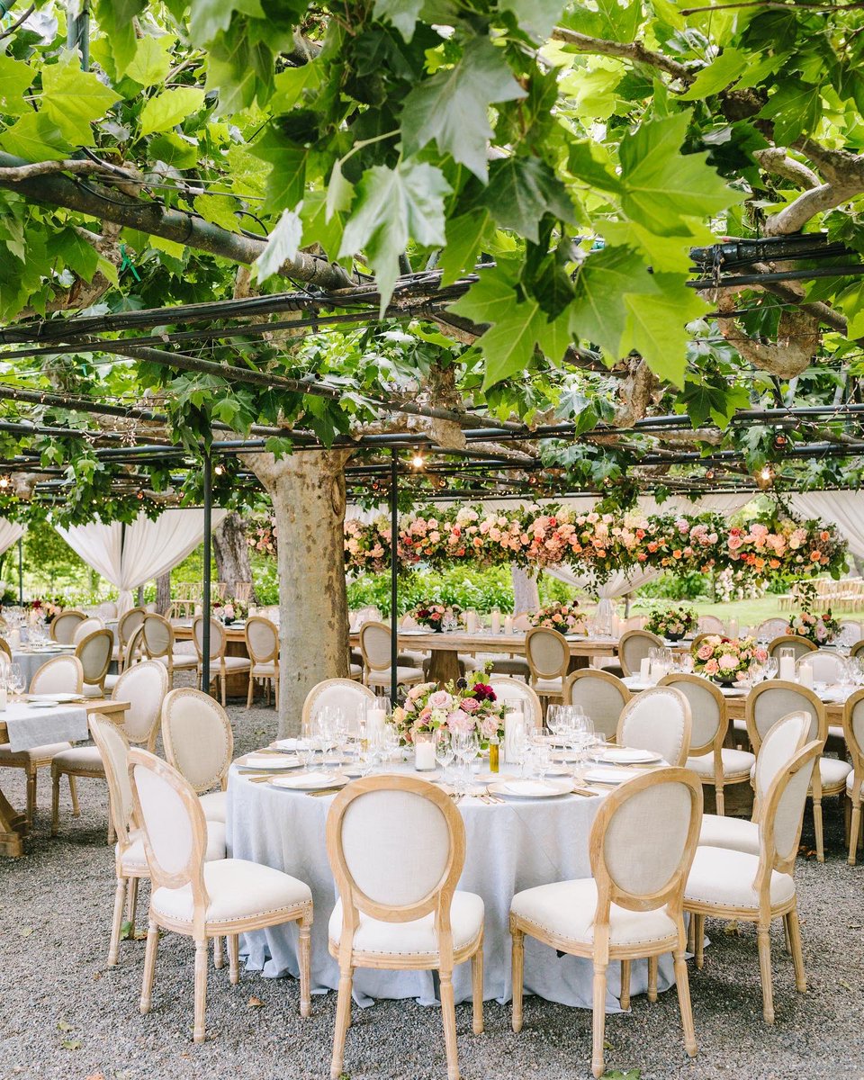 paula leduc tweet media