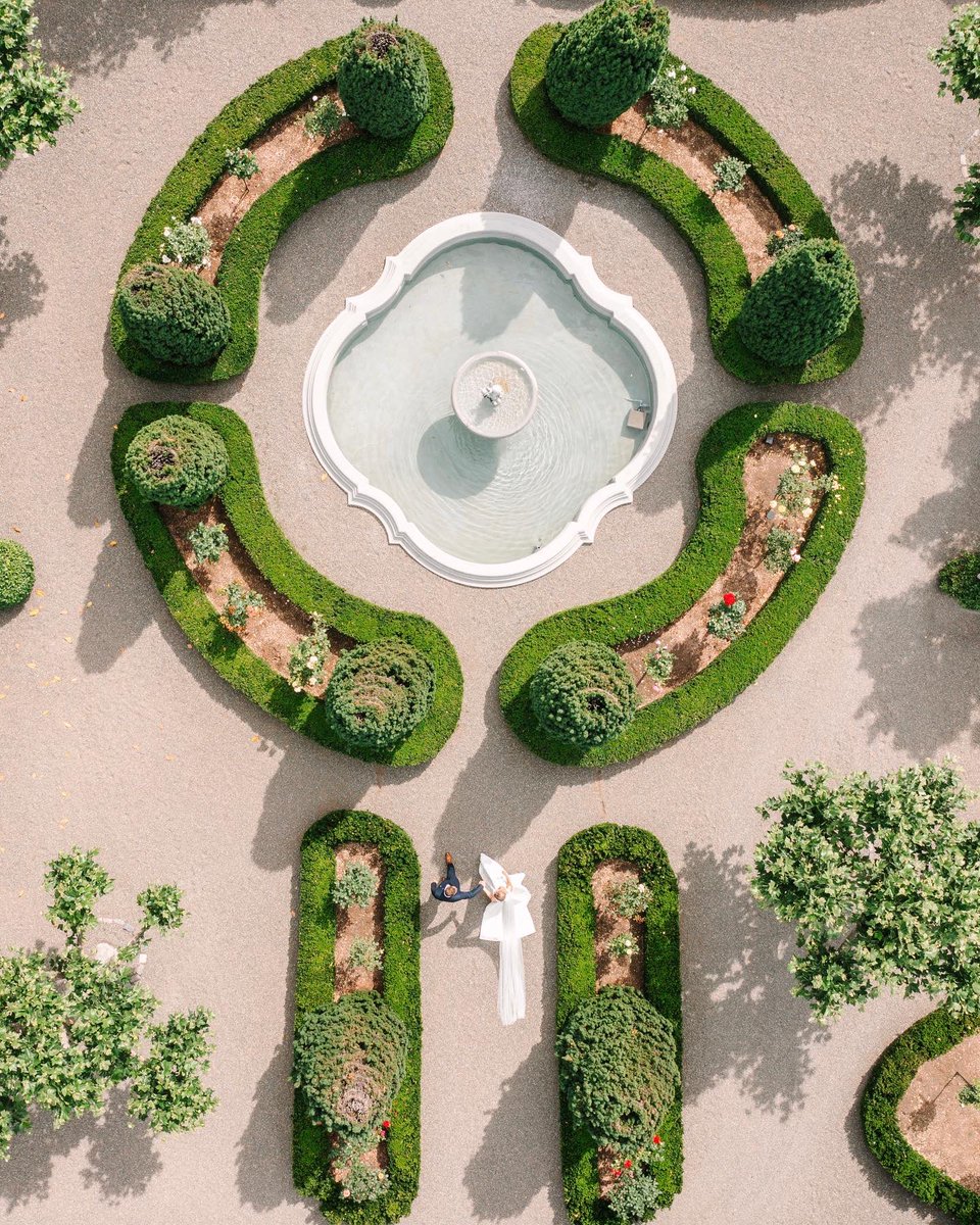 paula leduc tweet media