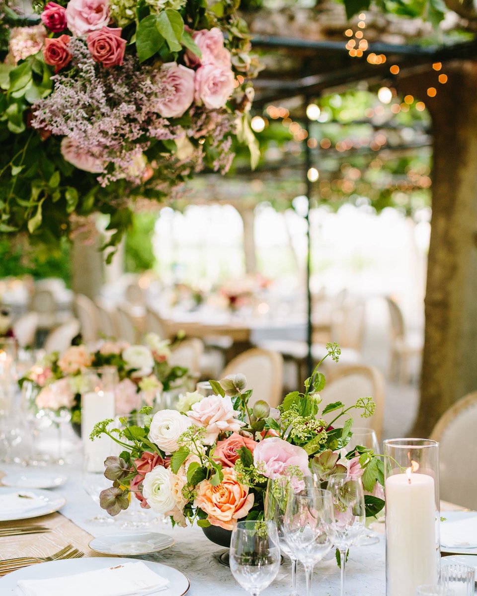 paula leduc tweet media