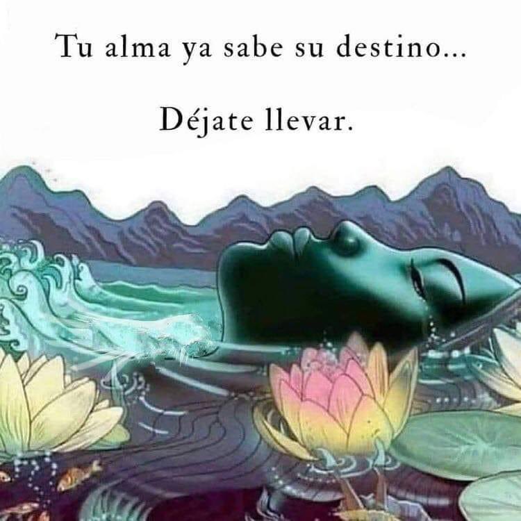Buenas noches