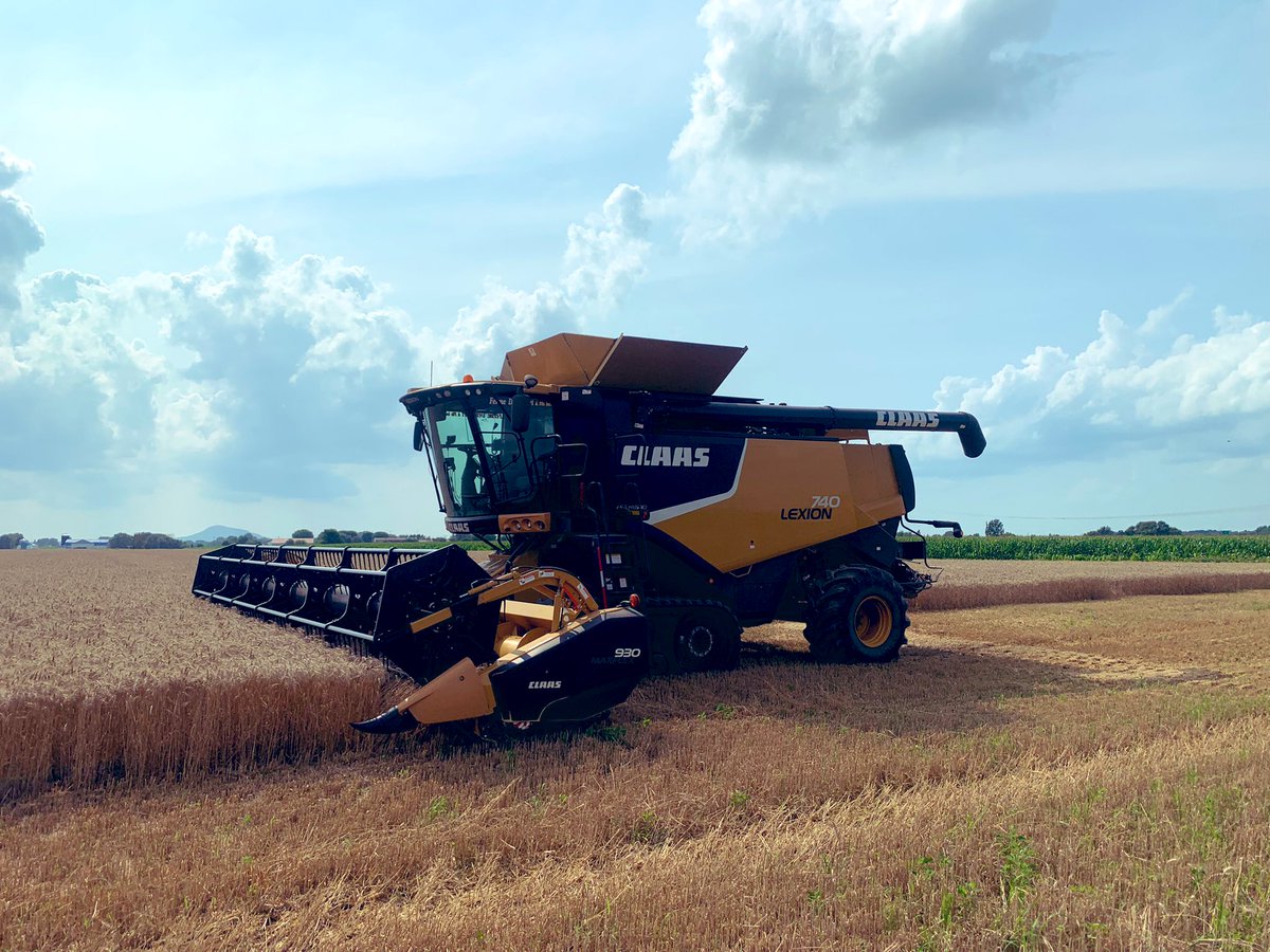 Le battage du blé d’automne est commencé. Ici, le blé n’a pas subit d’orage violent , il n’a pas couché par chance 🍀 🌾