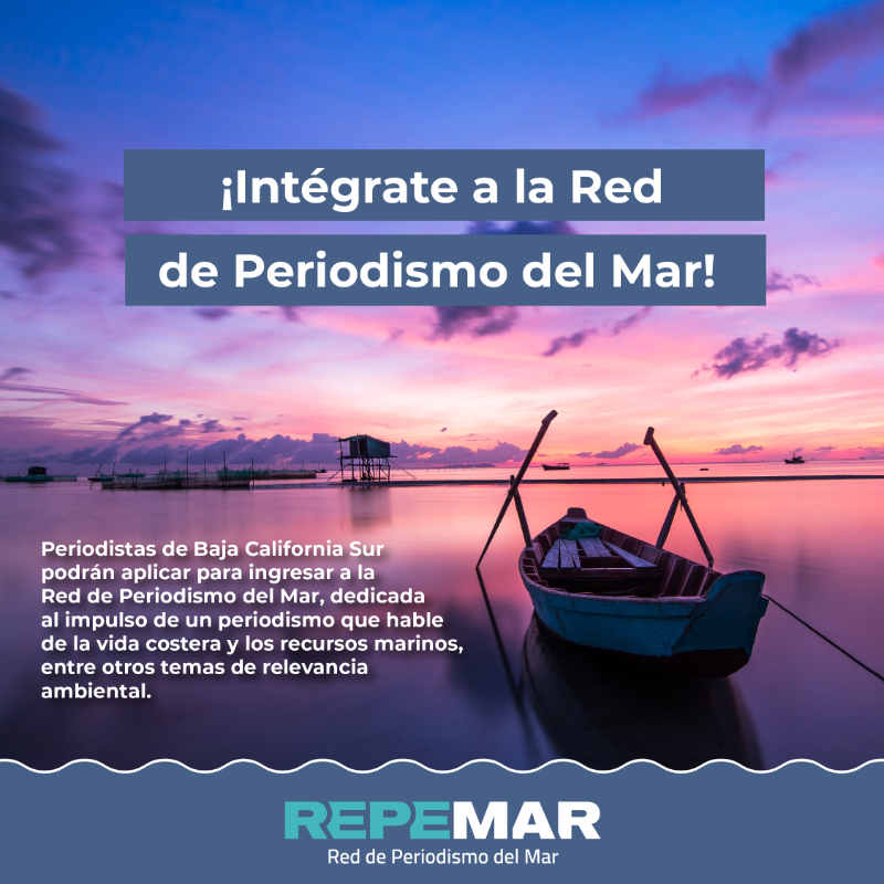 CausaNatura's tweet photo. ¿Eres periodista, vives en Baja California Sur y te apasionas por el medio ambiente?

Tienes oportunidad hasta el viernes 4 de agosto para formar parte de #Repemar 🌊 en Baja California Sur.

Enviar tus documentos a periodismodatos@causanatura.org y dreyes@causanatura.org