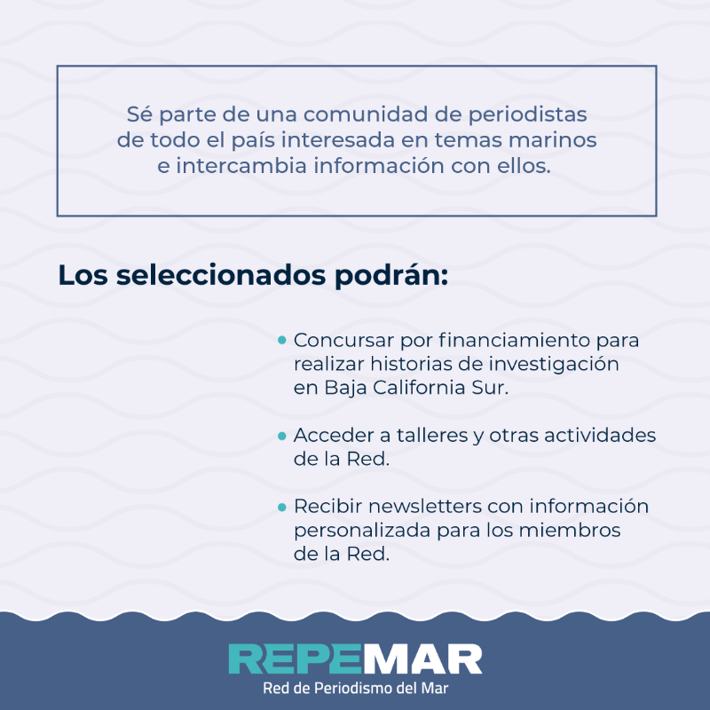 CausaNatura's tweet photo. ¿Eres periodista, vives en Baja California Sur y te apasionas por el medio ambiente?

Tienes oportunidad hasta el viernes 4 de agosto para formar parte de #Repemar 🌊 en Baja California Sur.

Enviar tus documentos a periodismodatos@causanatura.org y dreyes@causanatura.org