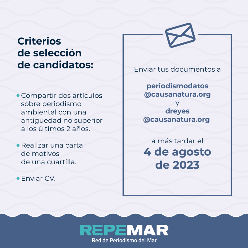 CausaNatura's tweet photo. ¿Eres periodista, vives en Baja California Sur y te apasionas por el medio ambiente?

Tienes oportunidad hasta el viernes 4 de agosto para formar parte de #Repemar 🌊 en Baja California Sur.

Enviar tus documentos a periodismodatos@causanatura.org y dreyes@causanatura.org