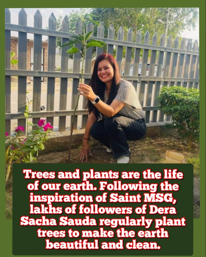 ilovishdhamija's tweet photo. Dera Sacha Sauda has taken a big initiative of tree plantation. Every year on the auspicious day of his birthday 15th August all his followers plant at least one sapling in their house or nearby, thus helping the environment to repair itself.
#PlantSapling
@Gurmeetramrahim https://t.co/MOs1NrQsBp