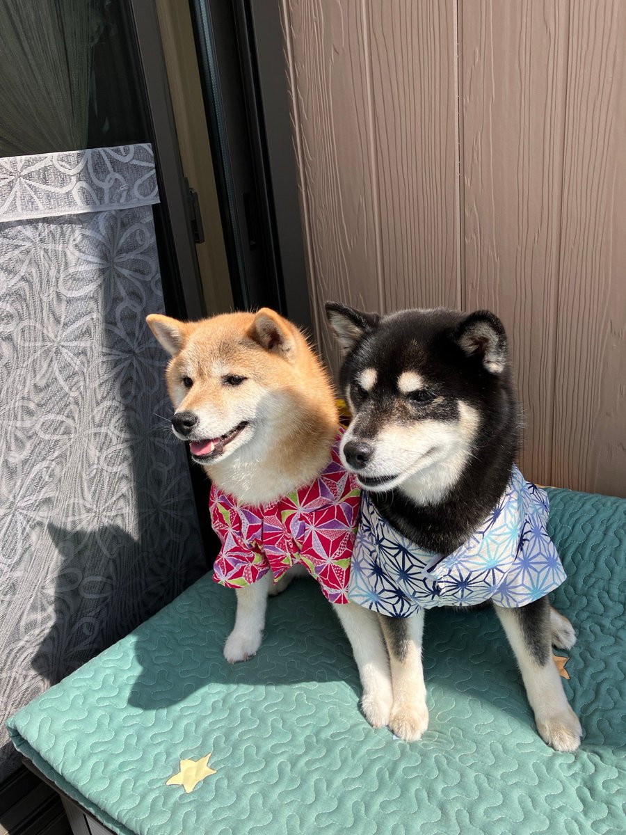 kawaiyan's tweet photo. 先日、建設業者の方が撮影したそらうみの写真もらったよ https://t.co/ZUuhMmAlrA