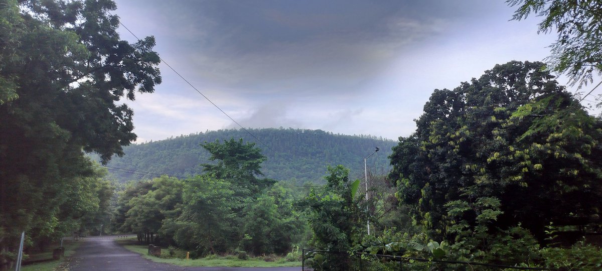 DrGajanankendre's tweet photo. @NMatange @IISERPune @IISERPune has a compact, beautiful campus, and I can imagine how much more lovable it has become with the addition of more greenery. But 👇 this is @nitrourkela campus huge, lush-green and mesmerizing. & not only the campus, the whole city is green like a garden
#acadmic #campus https://t.co/60koZLGo8M