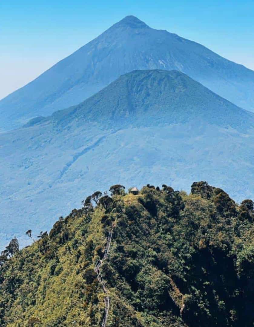 murungi_ada's tweet photo. Good morning 🥰 https://t.co/7th8a26I0R